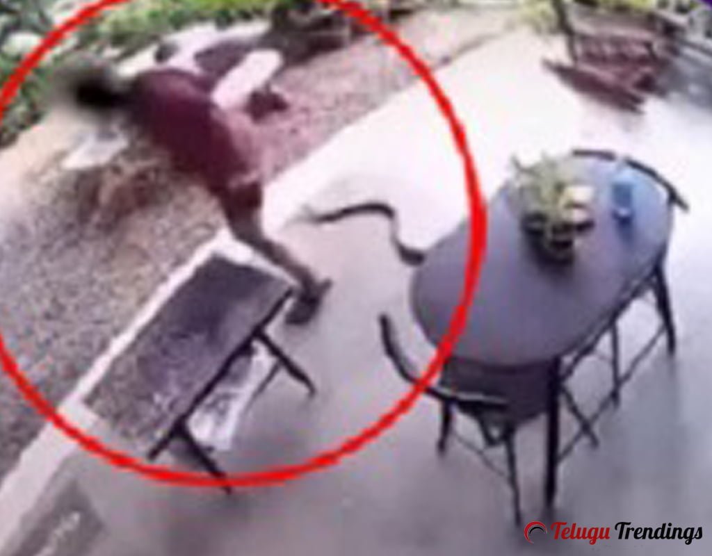Snake Attack the Women Viral Video