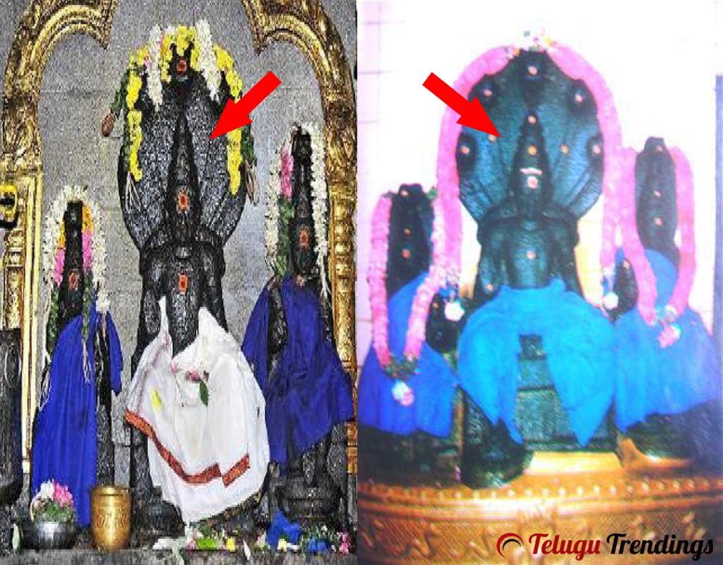 Facts about Thirunageswaram Naganathar Temple at Kumbakonam